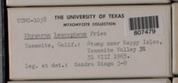 Image Associated With the Occurence